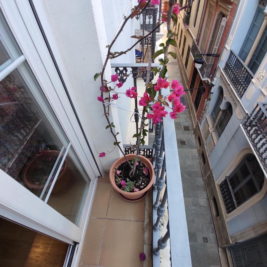Centro * Málaga