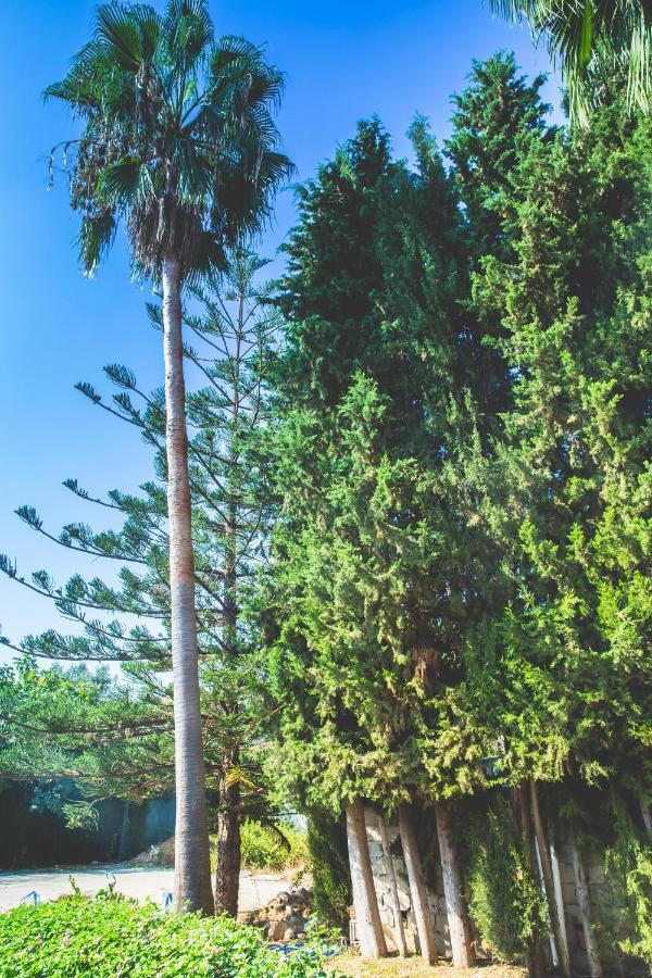 Lejlighed Espaciosa En Mijas Costa Para 10 Personas *