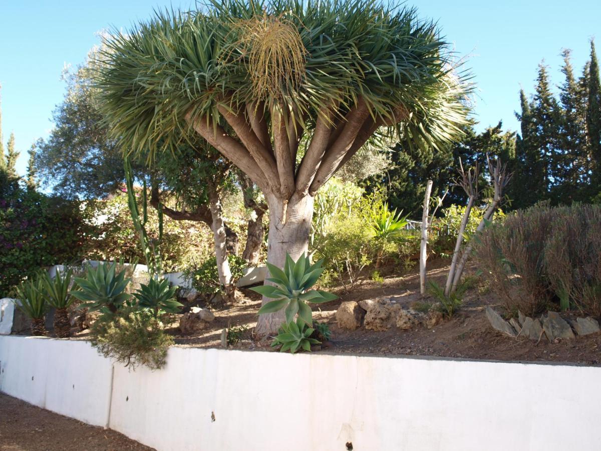 Feriehus Acogedora Y Amplia Con Piscina