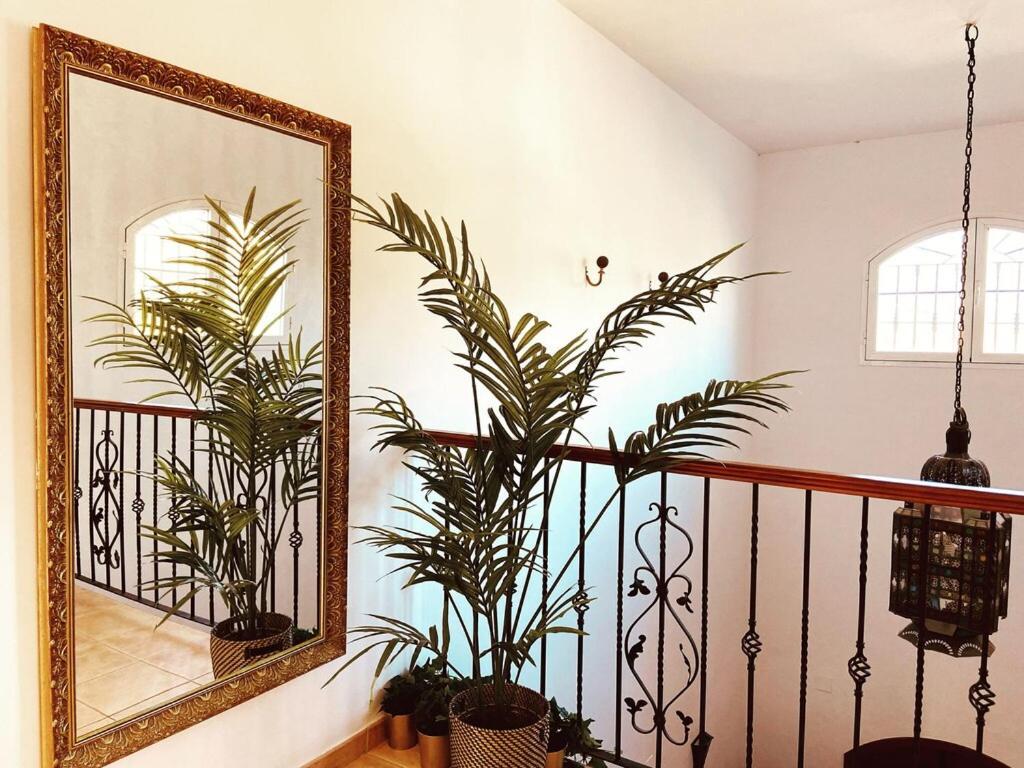 With Private Swimming Pool And Boules Court 40 Minutes From M Laga Villa Malaga