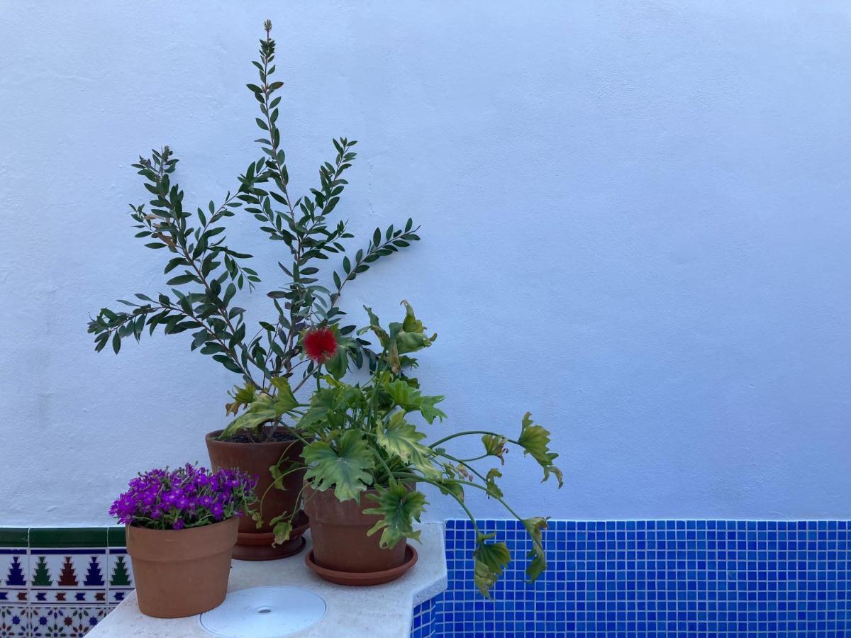 Casa Clemente 32, Private House With Plunge Pool