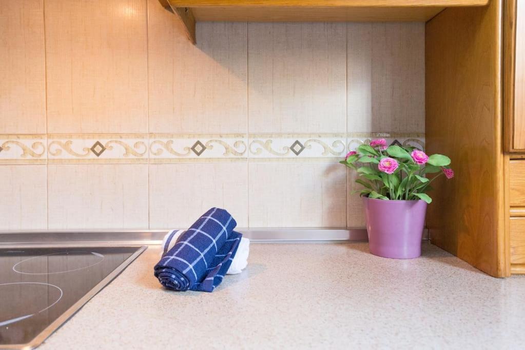 Apartamento Bright, Quiet And Ground Floor In The Center