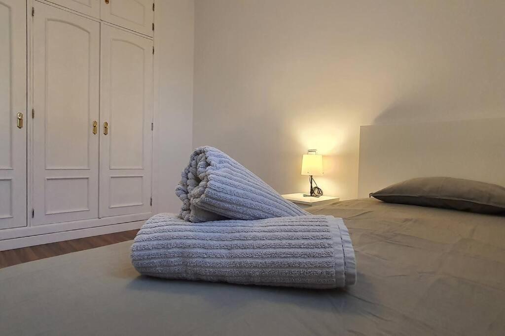 Appartement Gran Piso En Zona Comercial