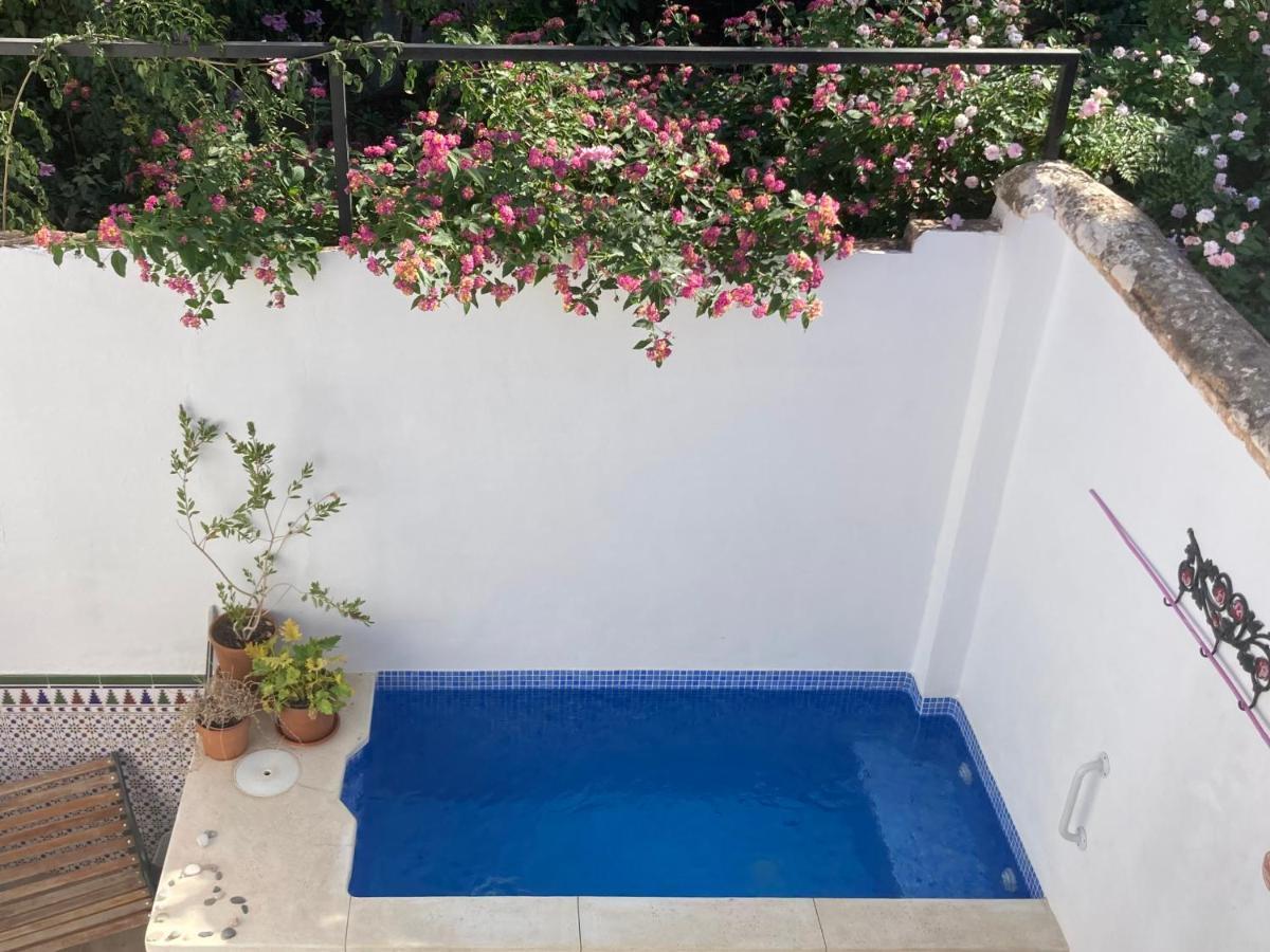 Apartment Casa Clemente 32, Private House With Plunge Pool