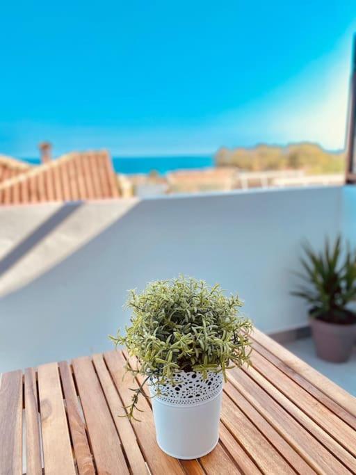 Balneario Estudio Con Terraza Playa A 400m *