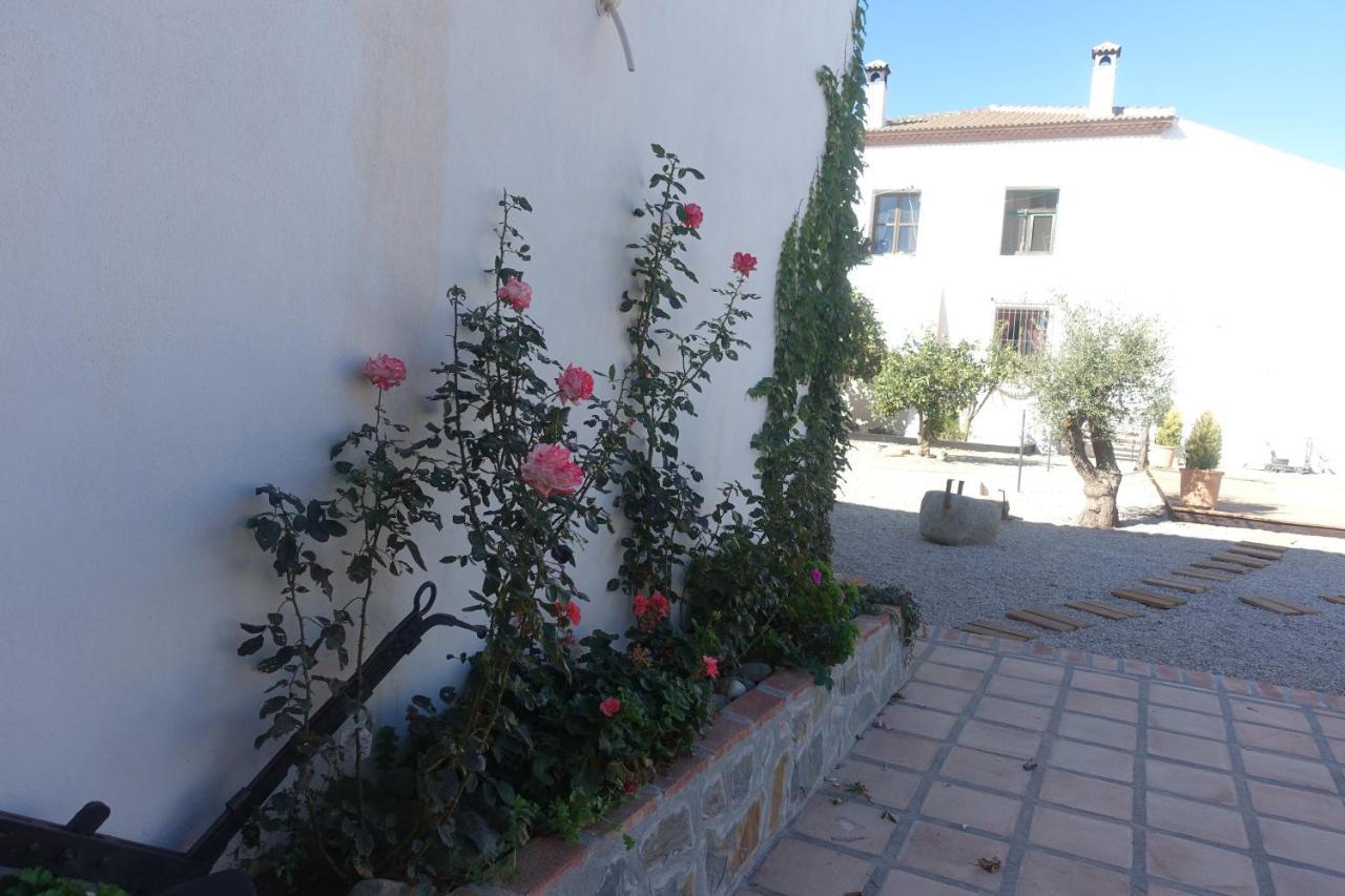 Galwey, Tourist Appartments With Wifi Appartement
