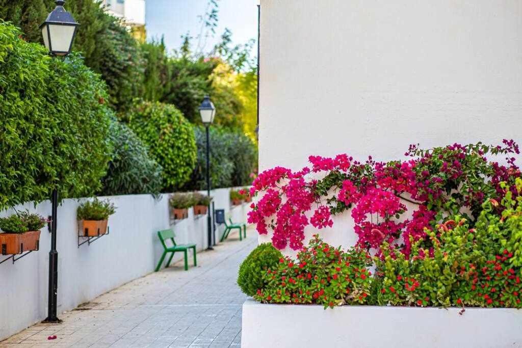Appartement Atico Boutique *