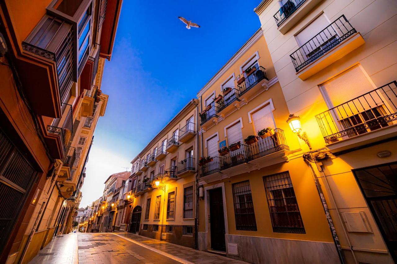 Montano17b * Málaga
