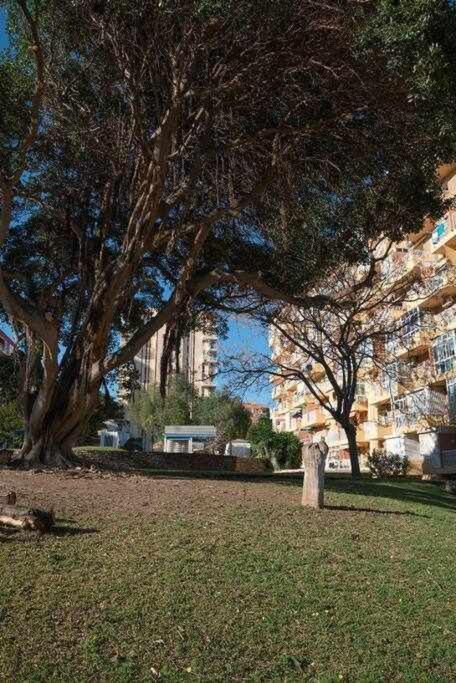 Appartamento Naturaleza En Aguila 142 *