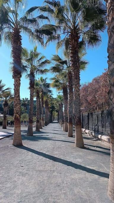 Casa Afrodita 1 * Málaga
