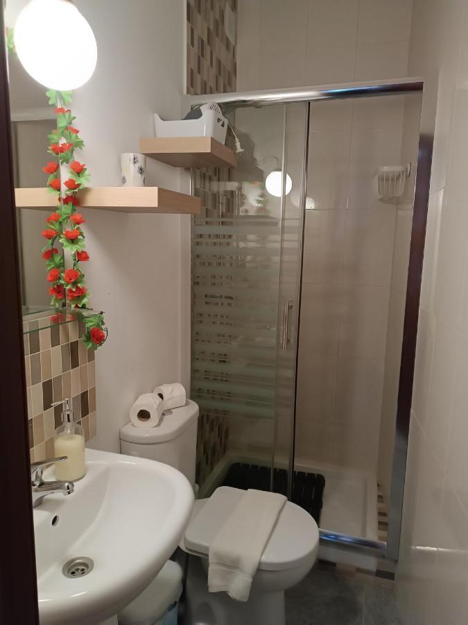 Lägenhet Estudios Santos *