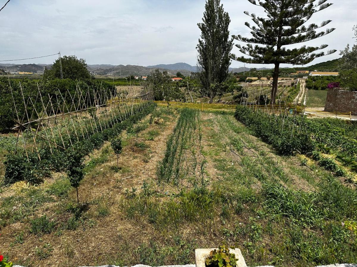 Casa Rural Emilio Con 4 Feriehus *