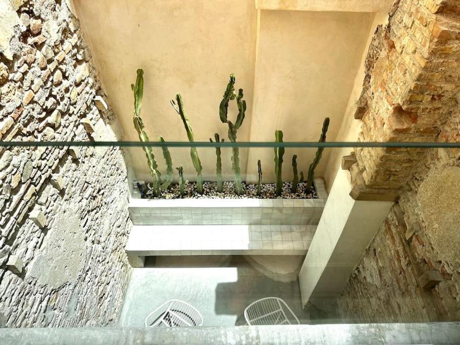 House Close To The Centre - Style And Relax Málaga