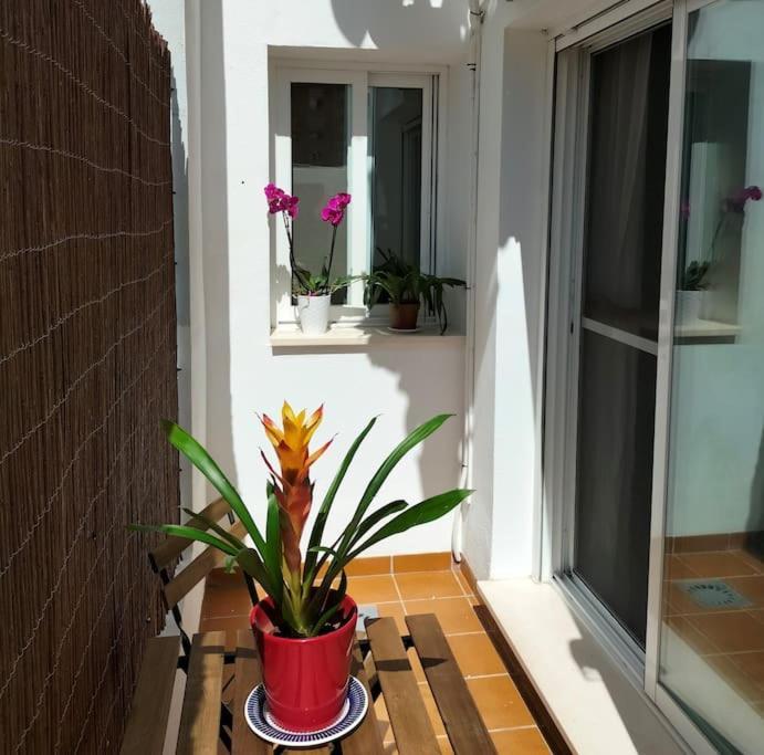 Apartment Estudio 52 Centrico Parking Gratuito Málaga