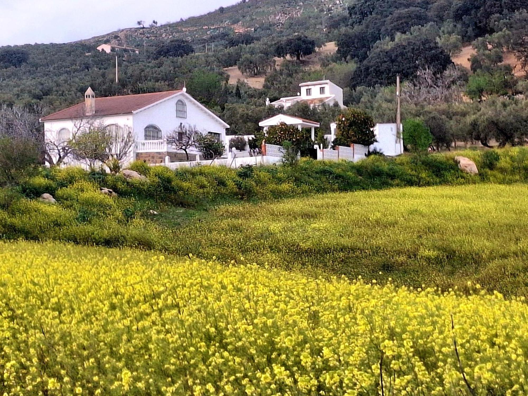 Aires De Gibalto Vakantiehuis