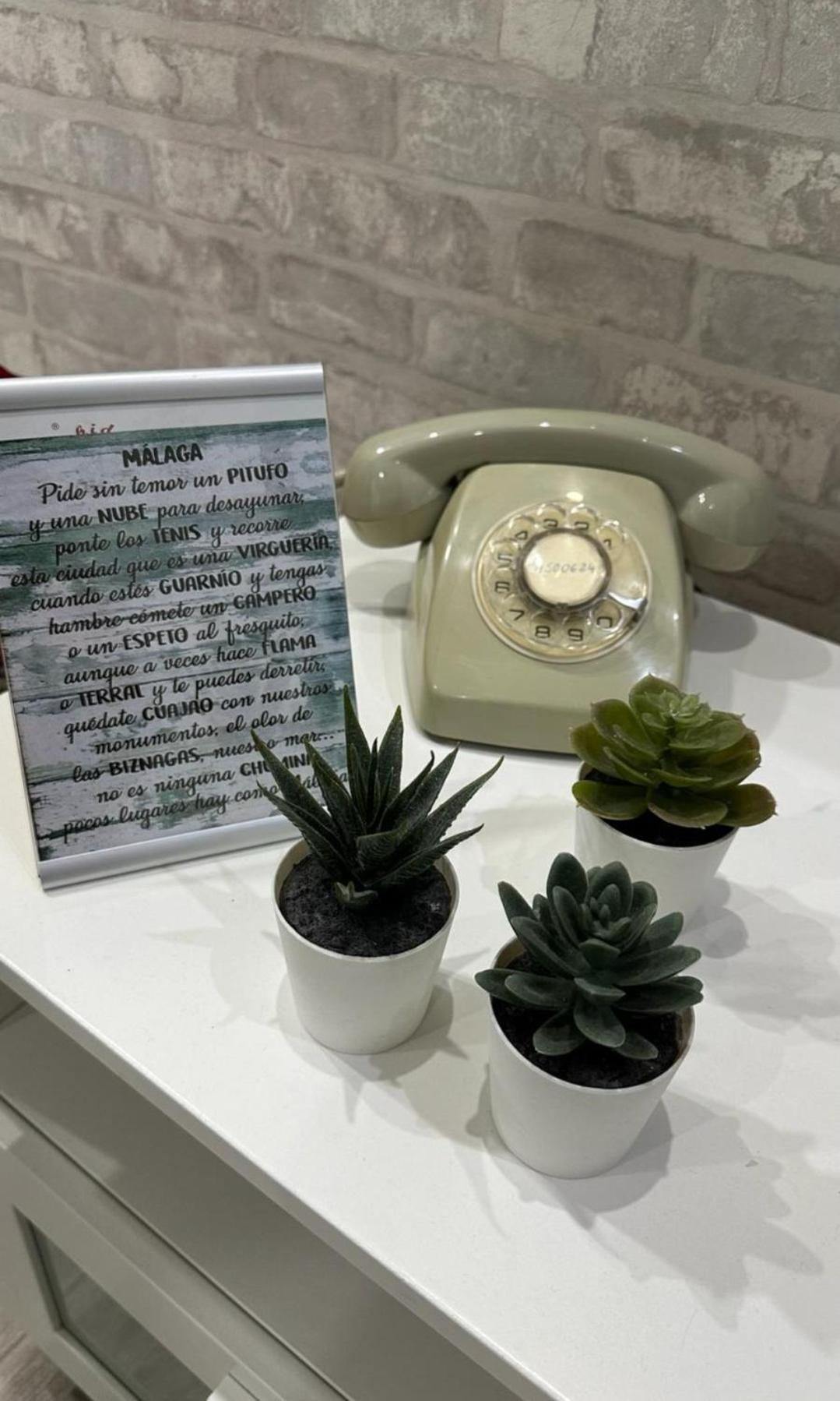 Leilighet Premium La Biznaga Málaga