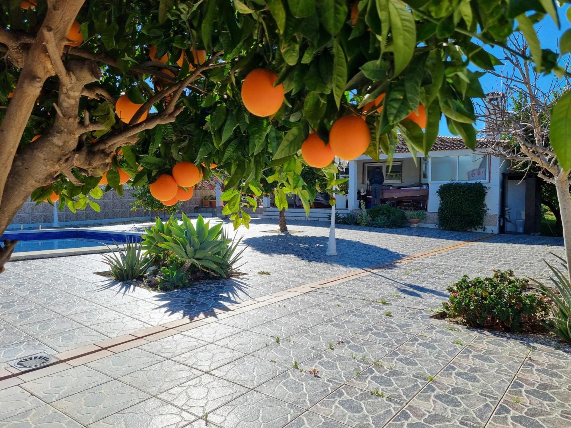 Villa Vista El Montanes Málaga