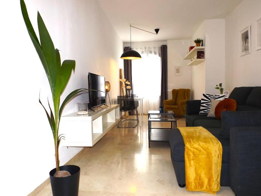 Centrico B Apartment Malaga