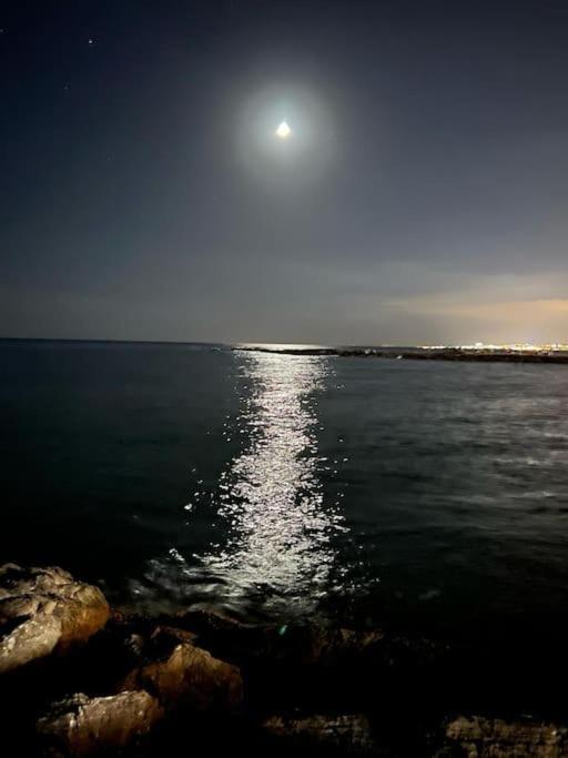 Espectacular Junto Al Mar, Con Piscina En Appartement *