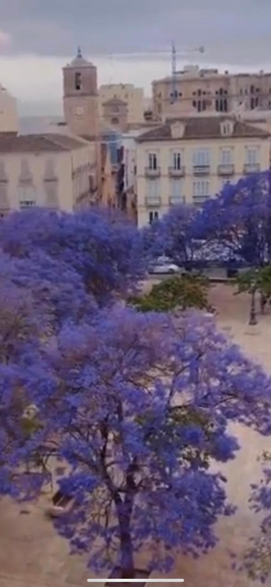 Appartement Apartamento—centro Parking Gratis Grupos Málaga