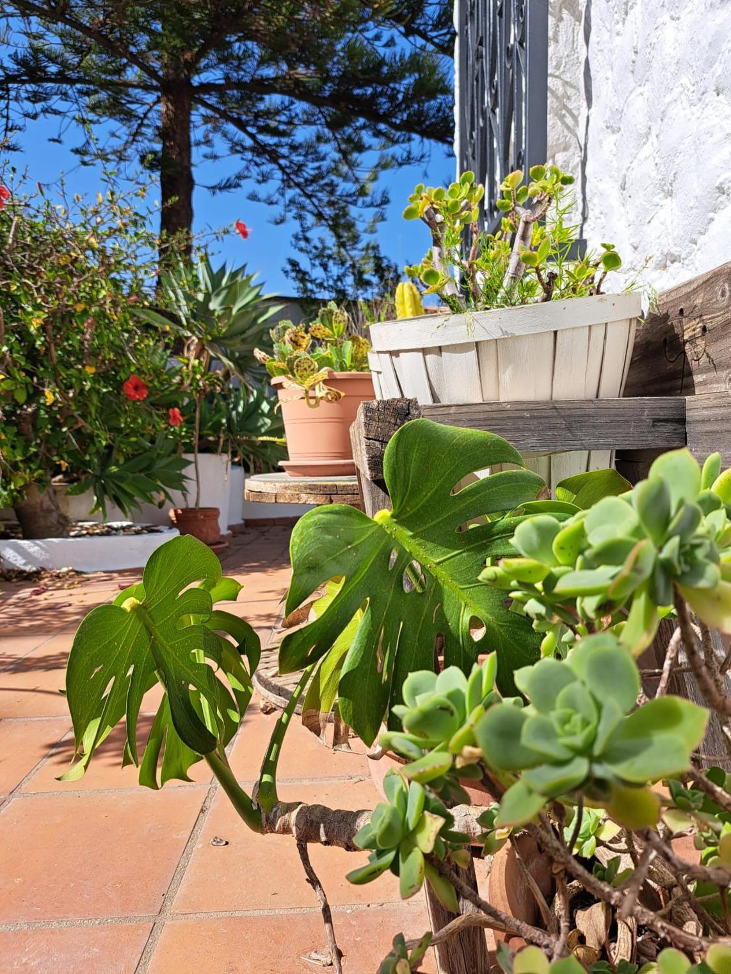Mijas Costa Del Sol Feriehus