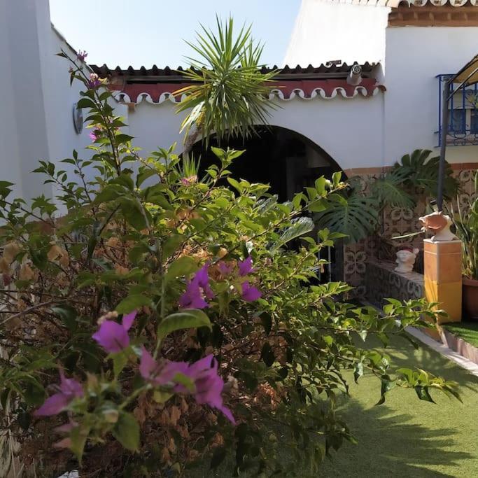 Virgen Bien Aparecida - Entire House