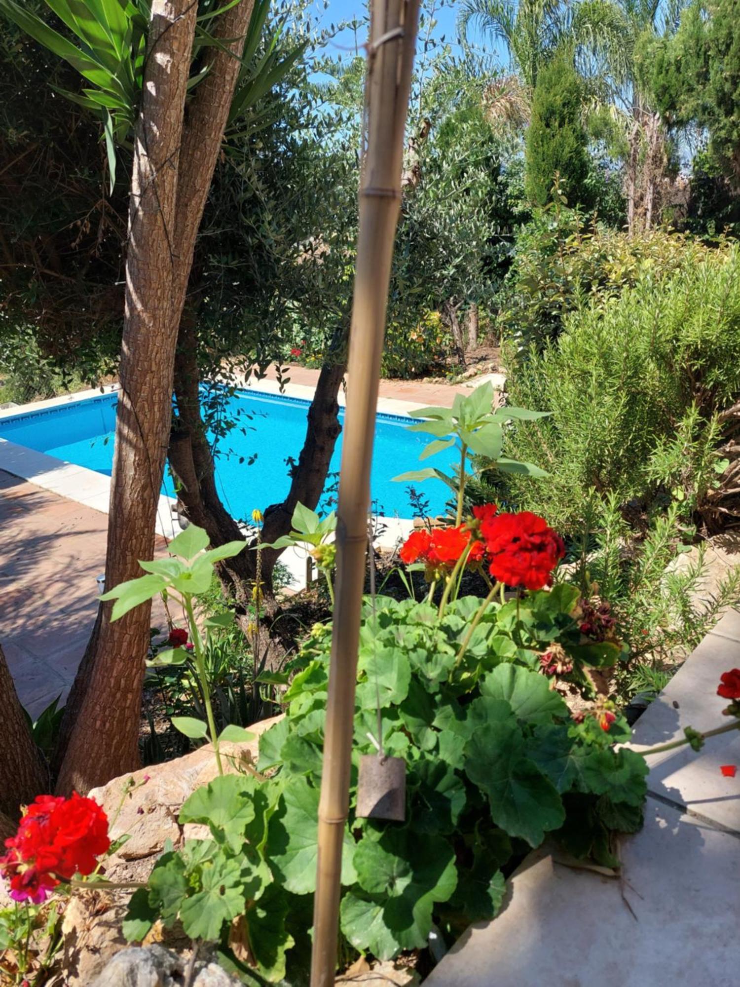 Casa Sunflower Malaga