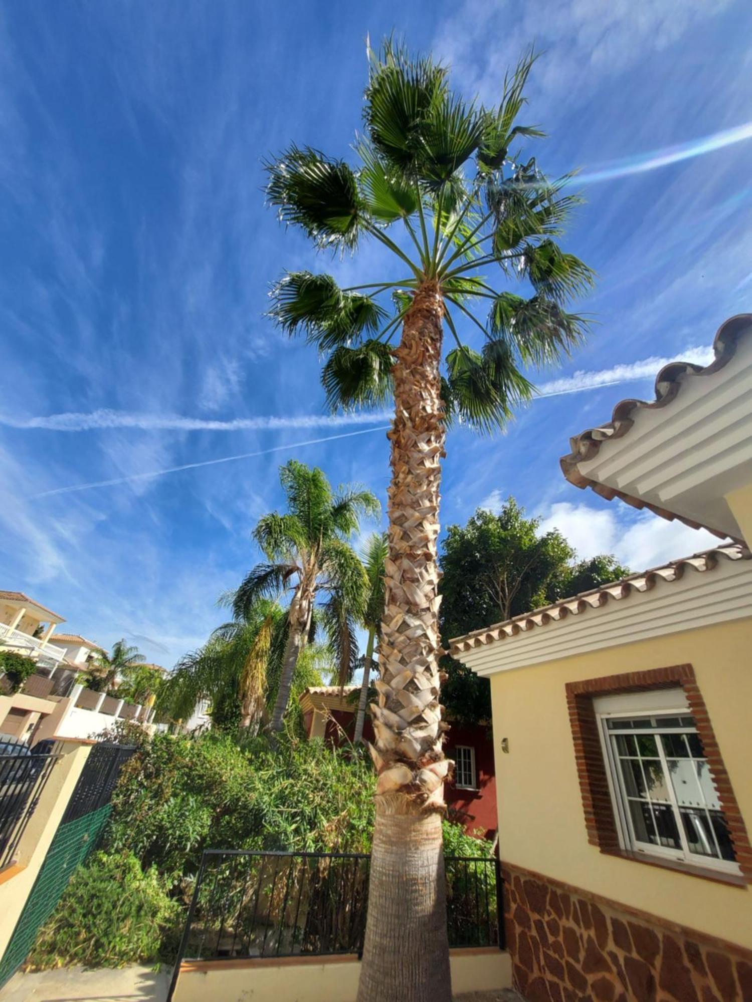 Casa Sunflower Villa