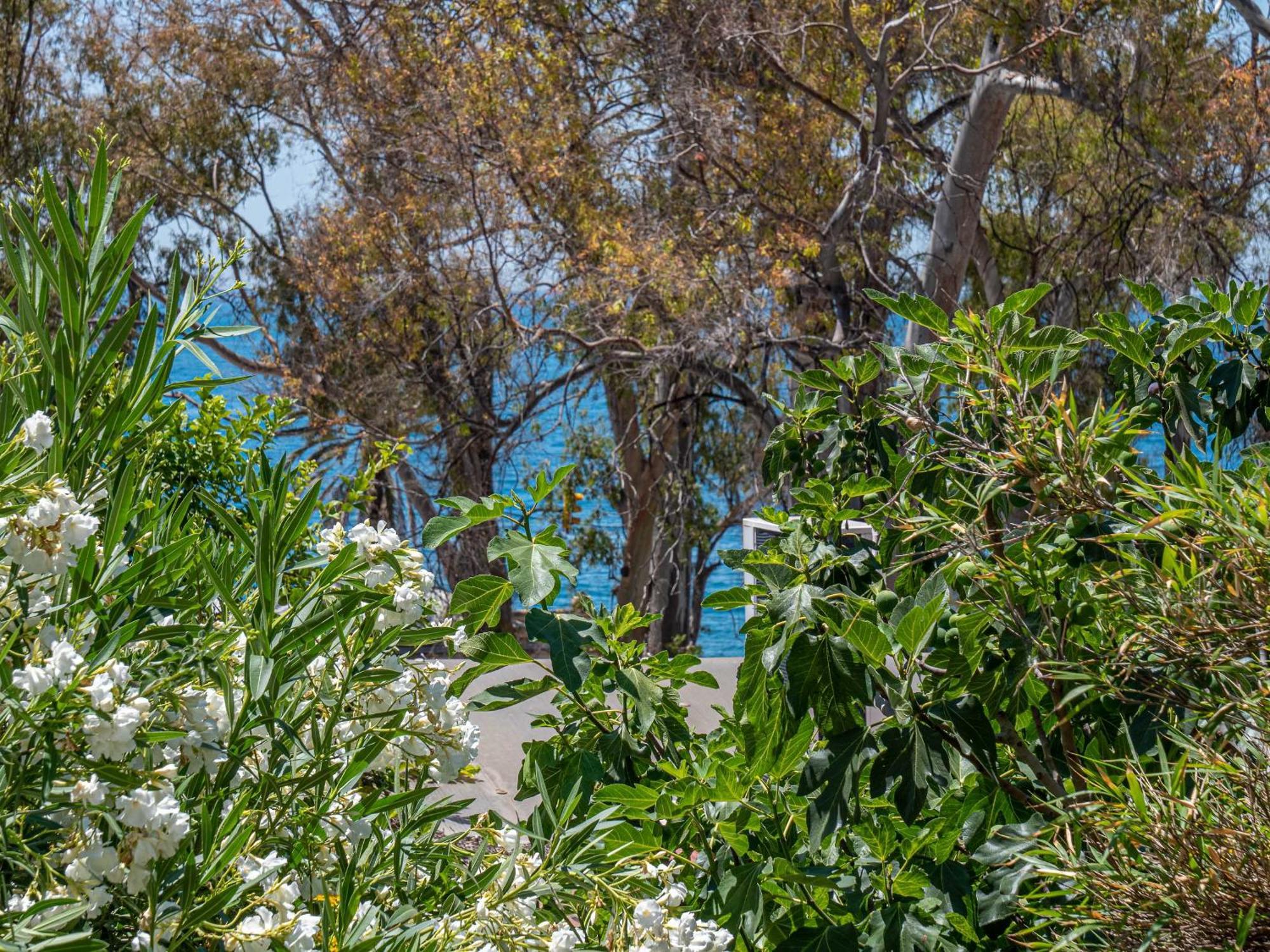 Apartamento Blue Sea - With Terrace
