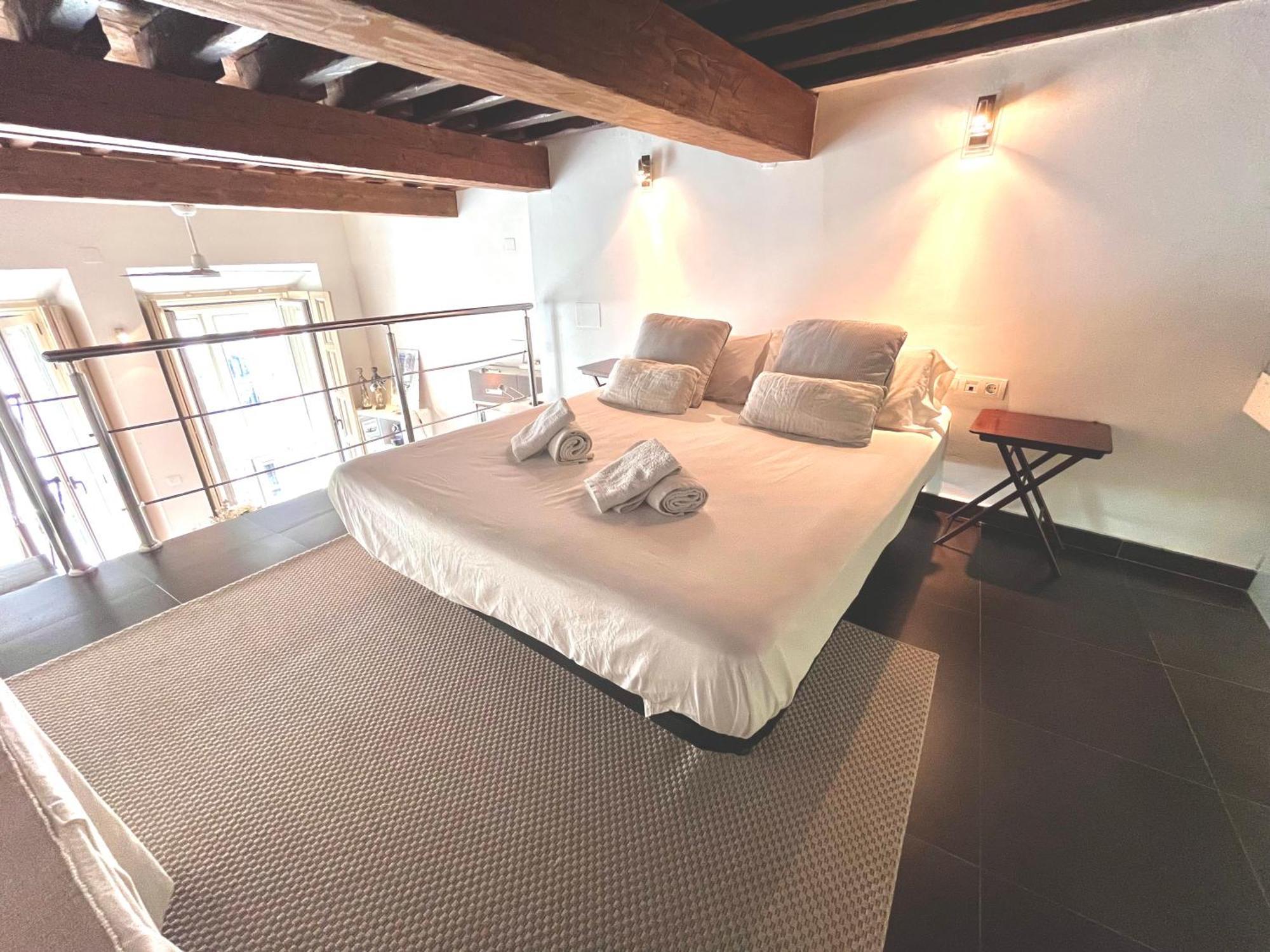 Loft Especeria Centro