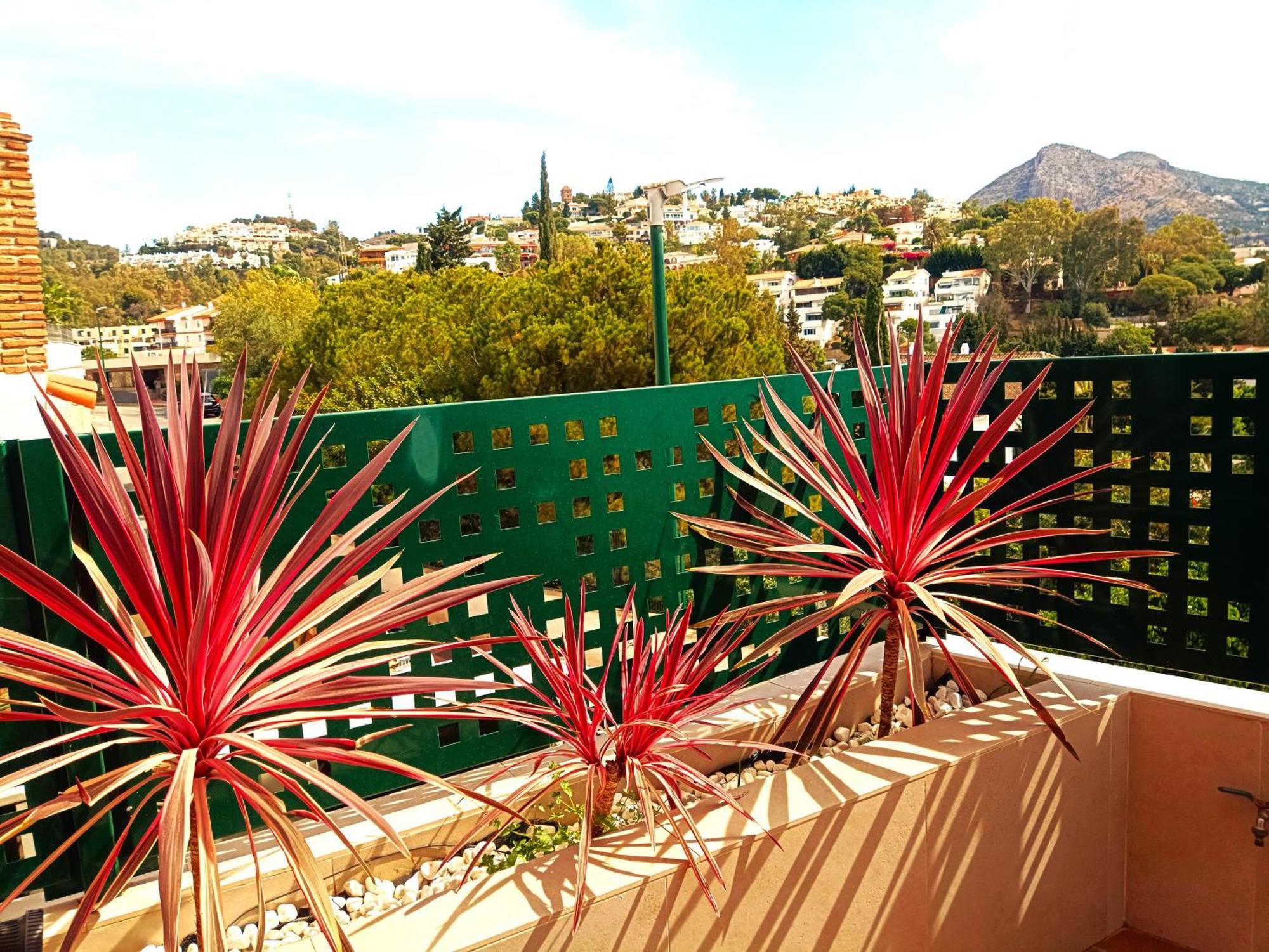 Flamencos Del Cerrado Appartement Málaga