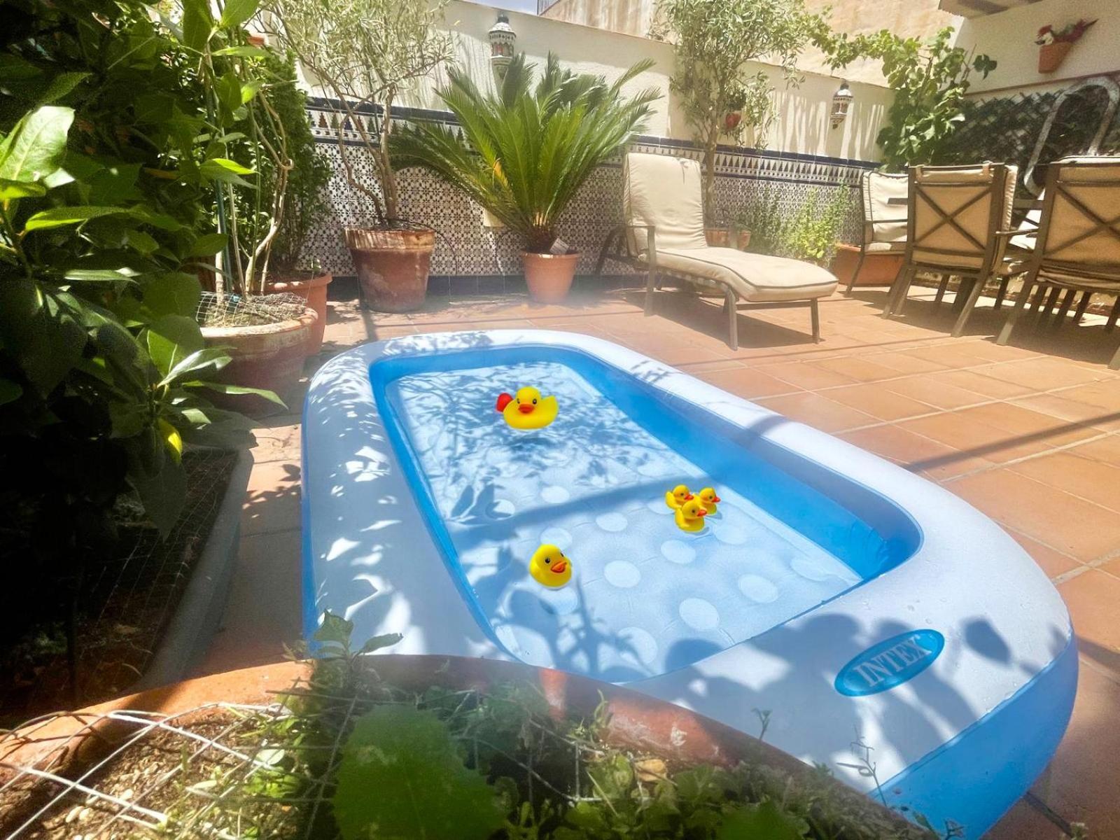 Maravilloso Centrico De 70m2, Jardin Propio 40m2 Con Piscina Ninos Y Parking Opcional Apartamento *