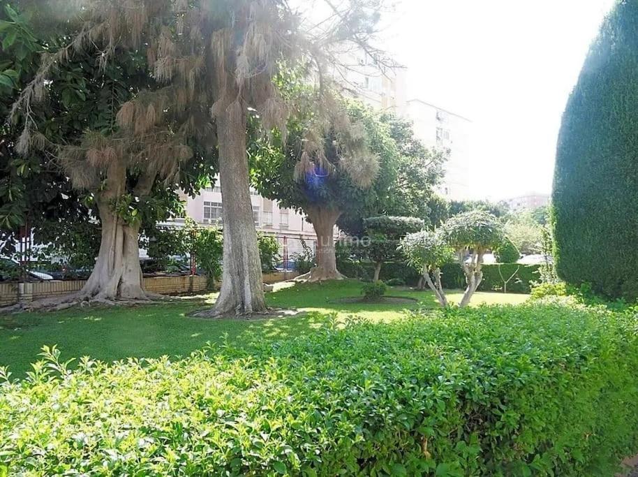Apartamento Gran San Carlos *