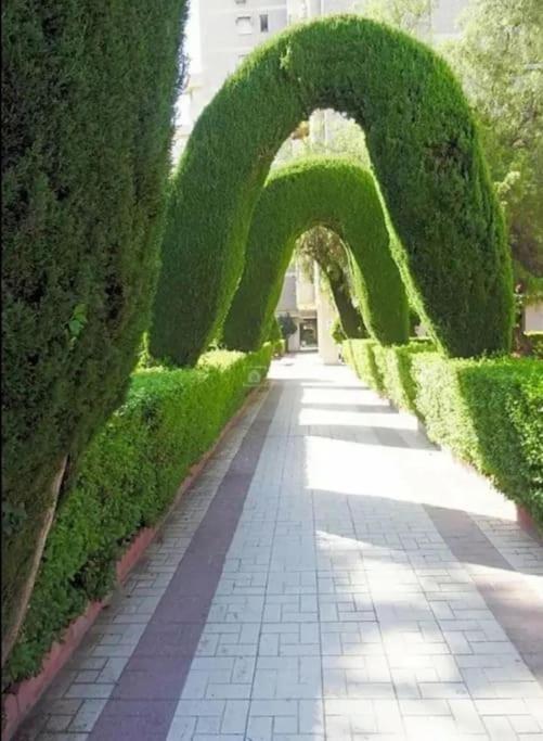 Apartamento Gran San Carlos Málaga