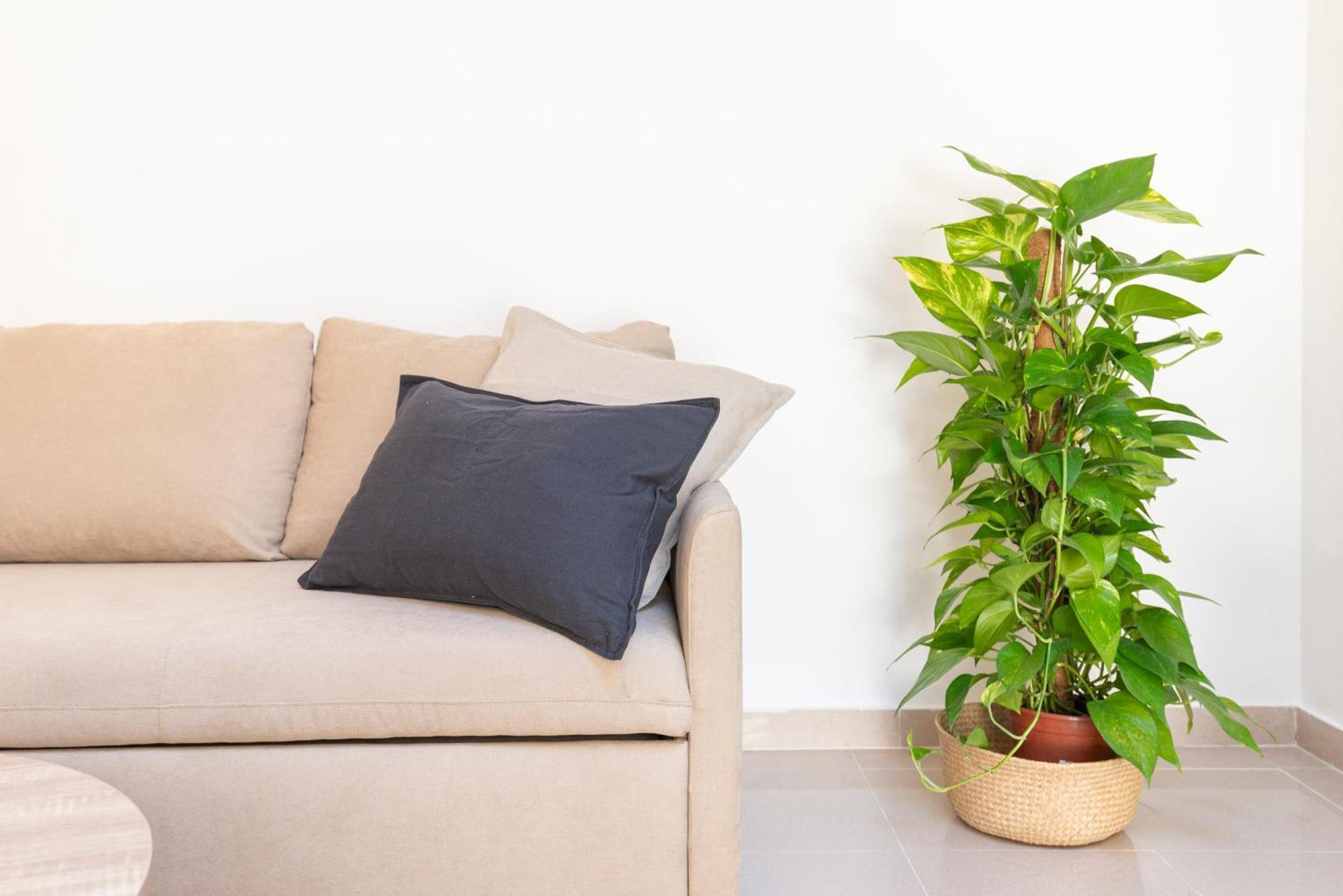 Boho En El Soho De Apartamento Málaga