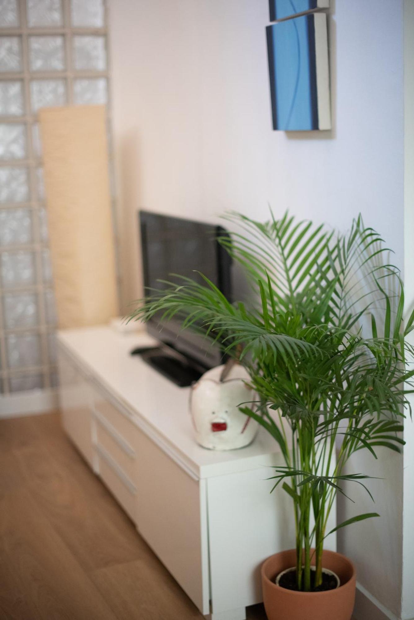 Cozy & Quiet In The Center Apartment Malaga