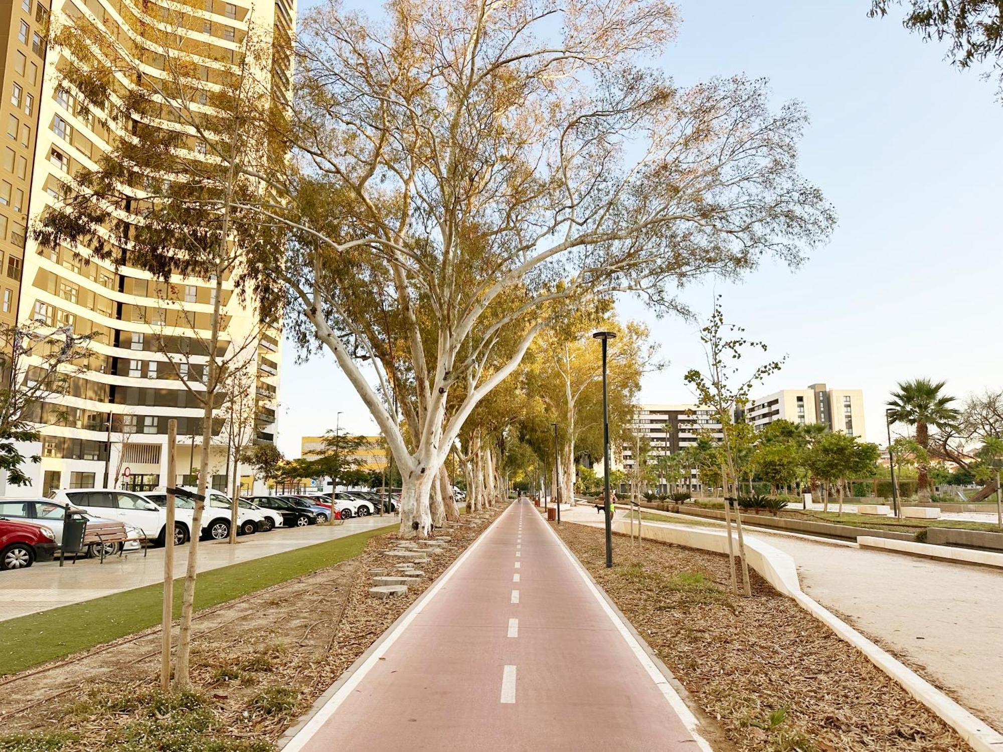 Apartamento Urban Sky Pando 21d Málaga