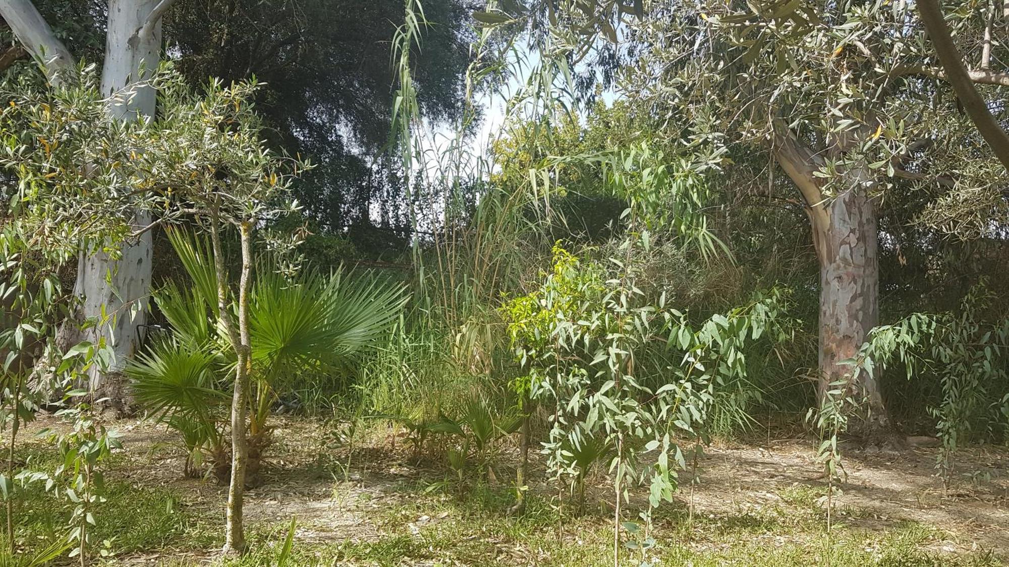 La Ermita Casa de Férias *