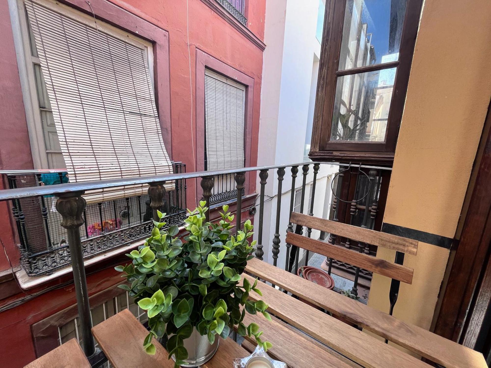 Apartamento Homely Pozos Dulces 8