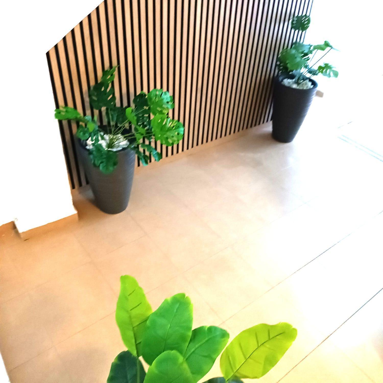 Larios Apartment Malaga