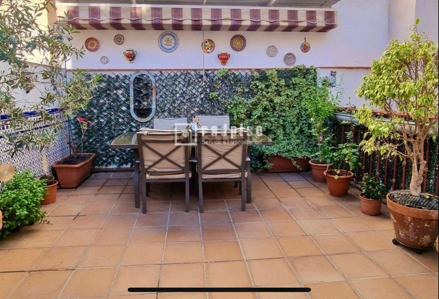 Apartamento Maravilloso Centrico De 70m2, Jardin Propio 40m2 Con Piscina Ninos Y Parking Opcional Málaga