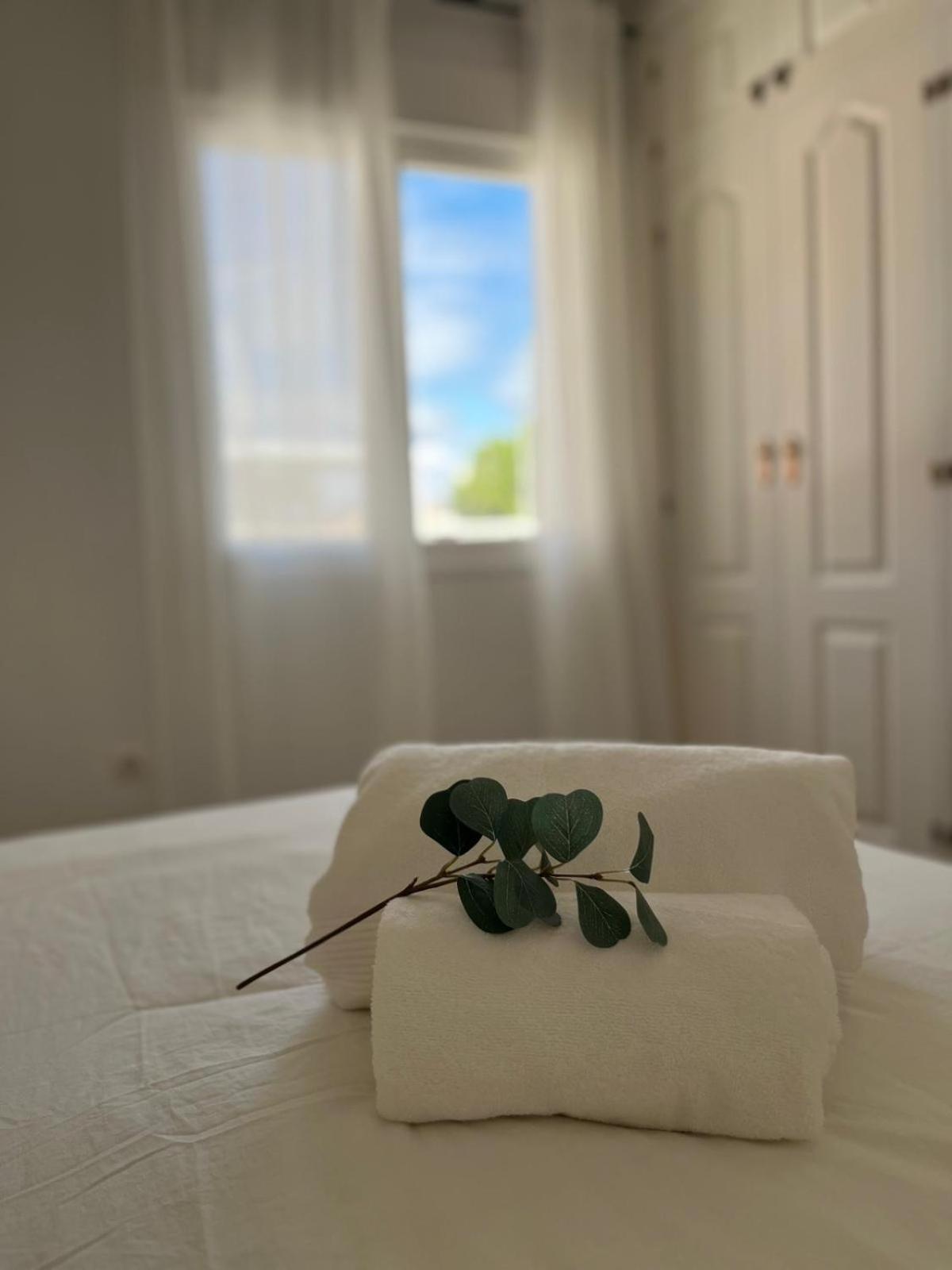 Appartamento Prime Location - Stylish With Free Wifi, Free Parking, Steps From The Historic Center