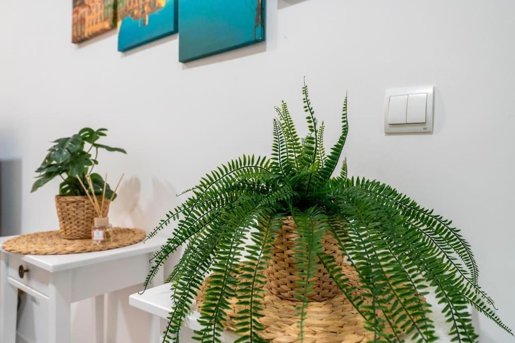 Apartamento Chic In Heart Of Town