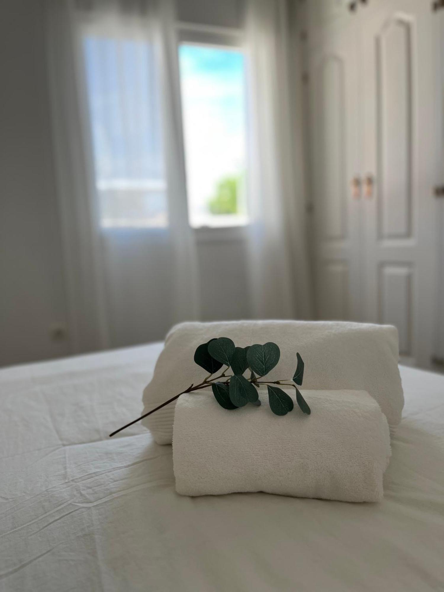 Prime Location - Stylish With Free Wifi, Free Parking, Steps From The Historic Center Appartamento Málaga