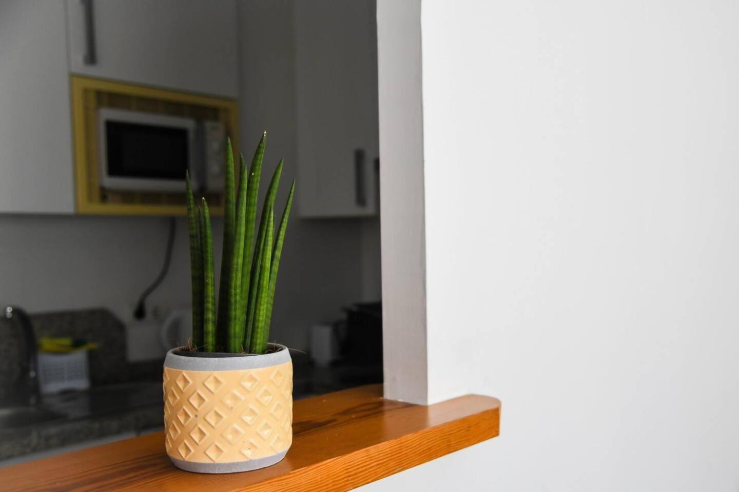 Apartamento Coqueto Cerca Centro