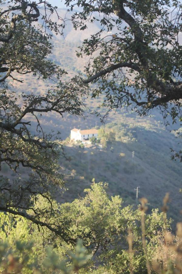 Lagar De Trevenez Montes De Chalet Málaga