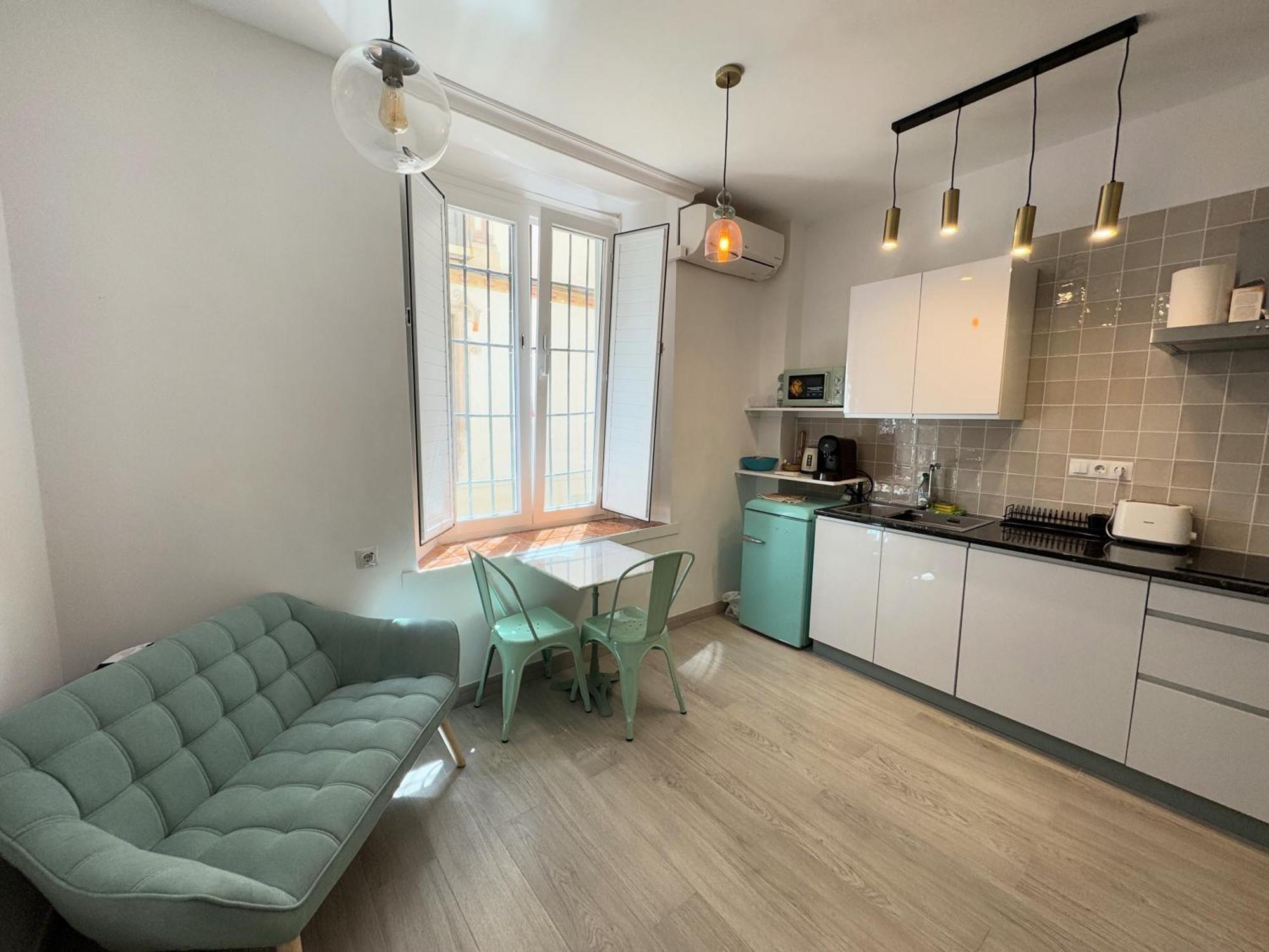 Apartment Iyourbasics Lovely Hinestrosa 23 Free Wifi&ac