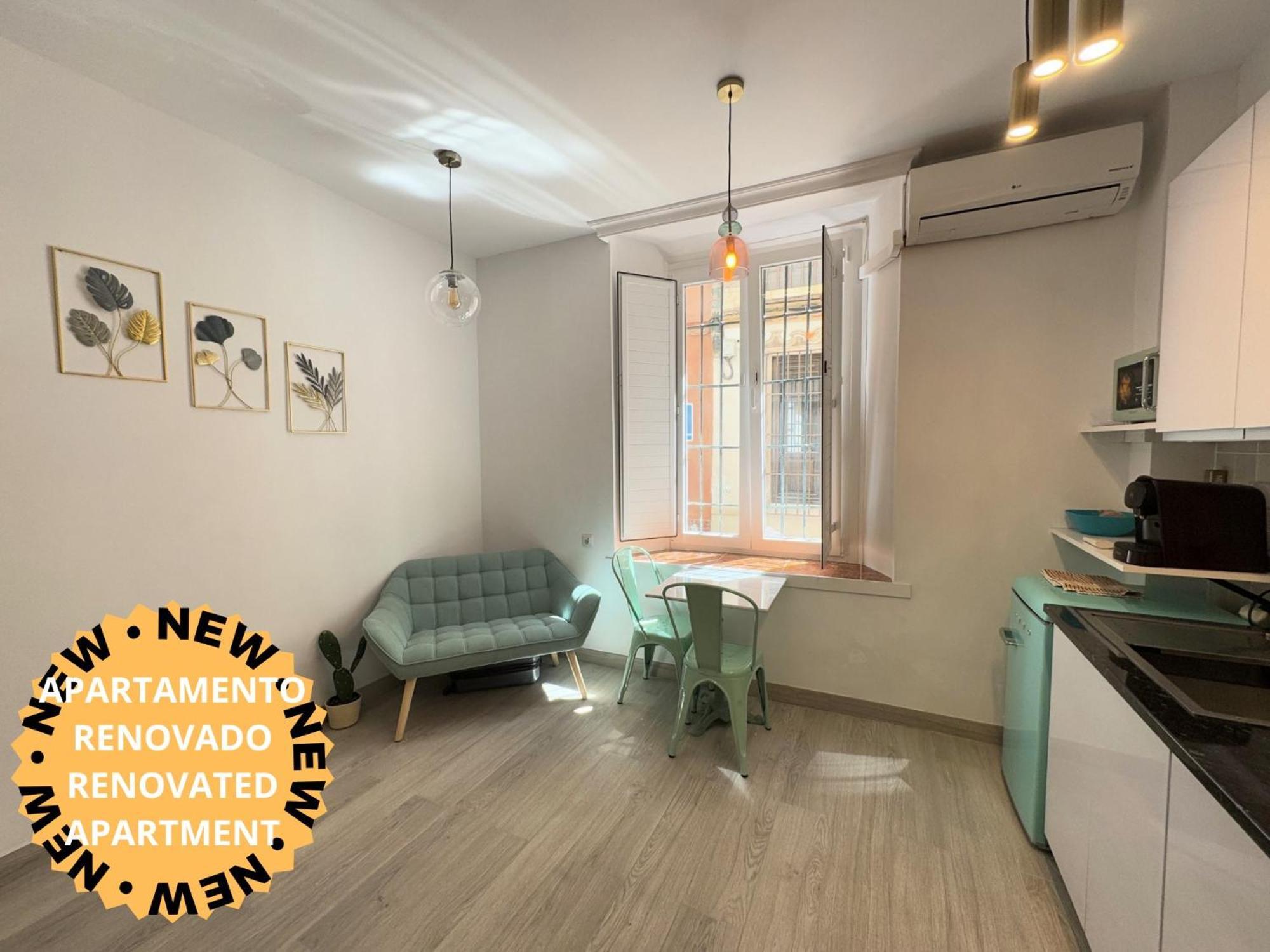 Apartment Iyourbasics Lovely Hinestrosa 23 Free Wifi&ac Malaga