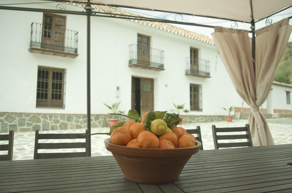 Rural Montes Malaga: Cortijo La Palma Feriehus Málaga