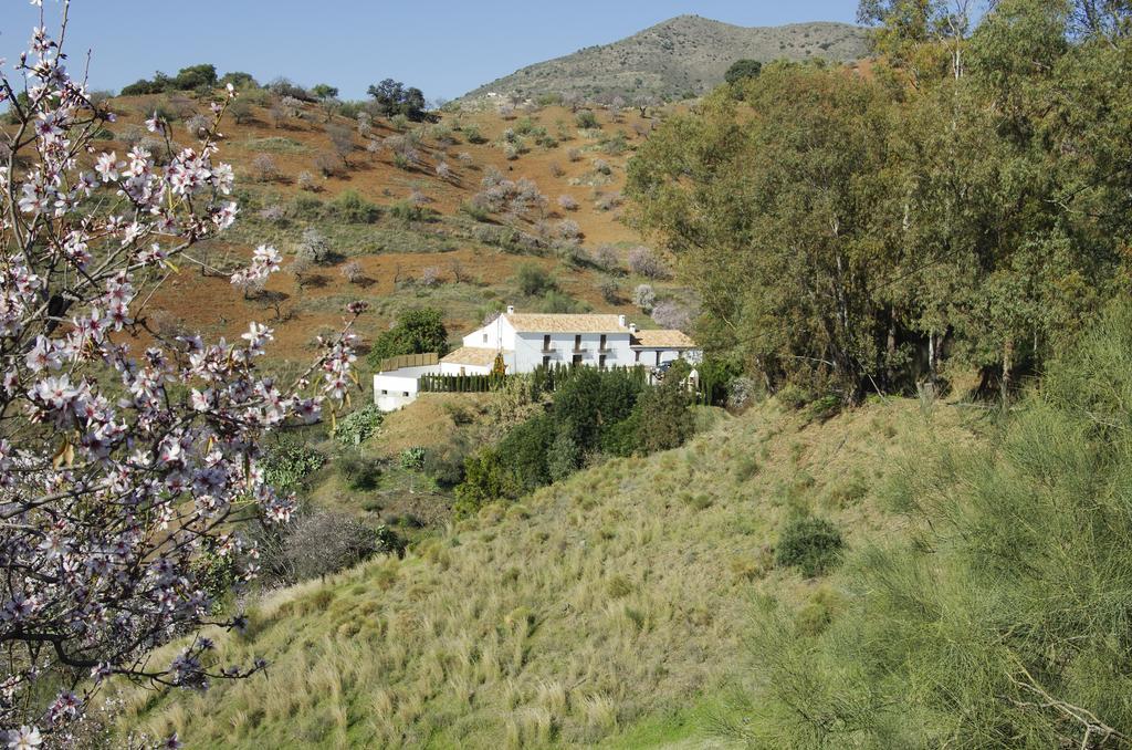 Feriehus Rural Montes Malaga: Cortijo La Palma *